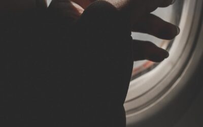 CRISE DE PANIQUE EN AVION : Comprendre, anticiper et reprendre le contrôle